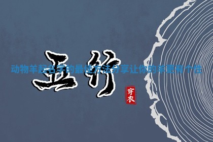 动物羊 🔥 起名字的最佳方法分享让你 💡 的羊更有个性