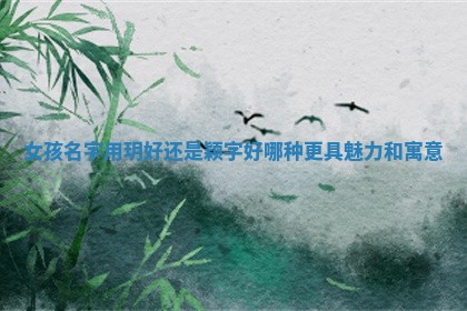 女孩名字用玥好 💚 还 🚱 是颖字好哪种更具魅力和寓意