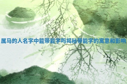 属马的人名字中能带 🤡 能字吗揭秘带能字的寓意和影响 🎊