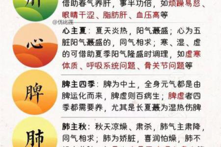 24节气的饮食习惯_四季养生